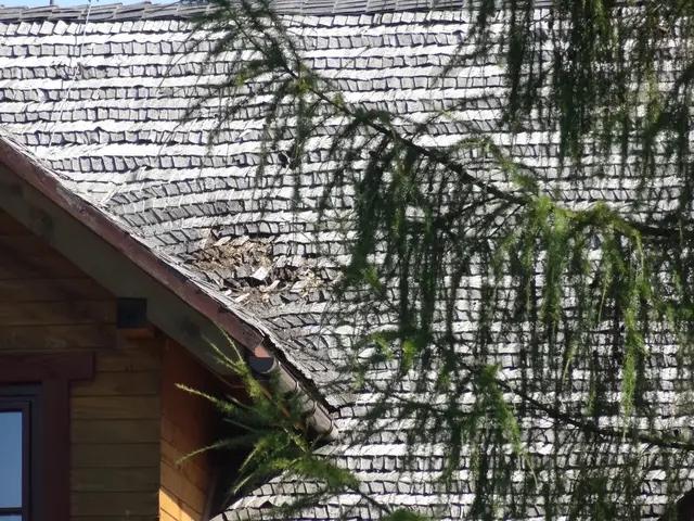 Renowacje dachów 2